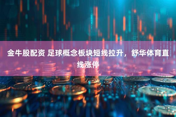 金牛股配资 足球概念板块短线拉升，舒华体育直线涨停