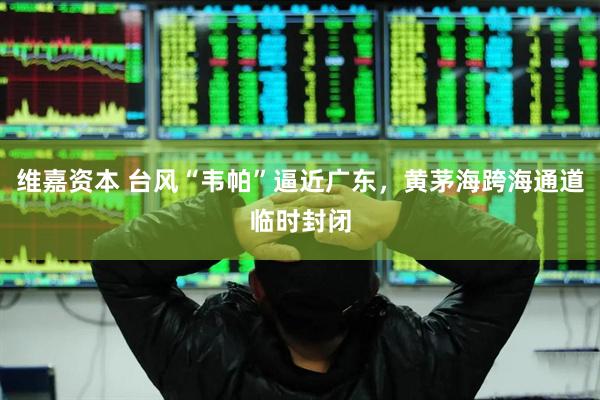 维嘉资本 台风“韦帕”逼近广东，黄茅海跨海通道临时封闭