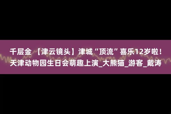 千层金 【津云镜头】津城“顶流”喜乐12岁啦！天津动物园生日会萌趣上演_大熊猫_游客_戴涛