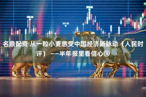 名鼎配资 从一粒小麦感受中国经济新脉动（人民时评） ——半年报里看信心③