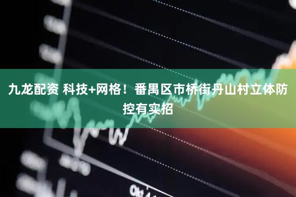 九龙配资 科技+网格！番禺区市桥街丹山村立体防控有实招