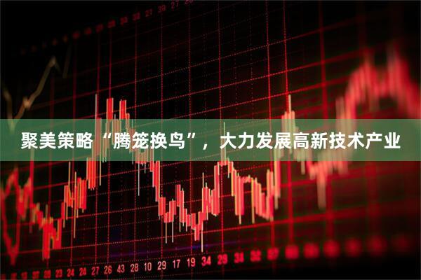 聚美策略 “腾笼换鸟”，大力发展高新技术产业
