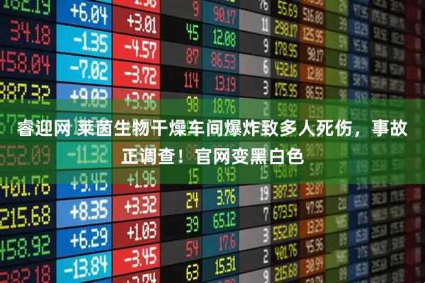 睿迎网 莱茵生物干燥车间爆炸致多人死伤，事故正调查！官网变黑白色