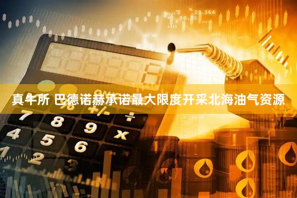 真牛所 巴德诺赫承诺最大限度开采北海油气资源