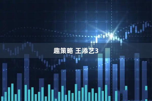 趣策略 王添艺3