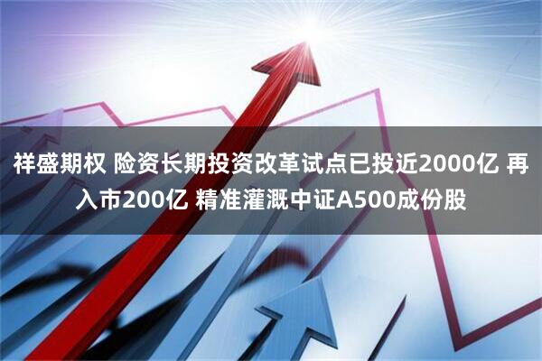 祥盛期权 险资长期投资改革试点已投近2000亿 再入市200亿 精准灌溉中证A500成份股